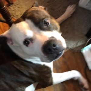 Meet your Posher, Carrie